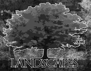 Landscapes V