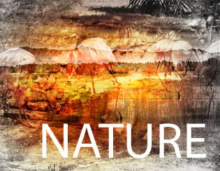 Nature S
